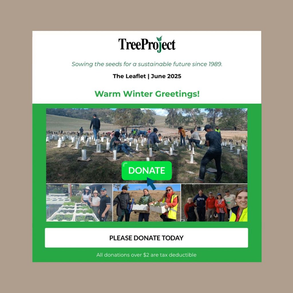 Leaflet June 2025