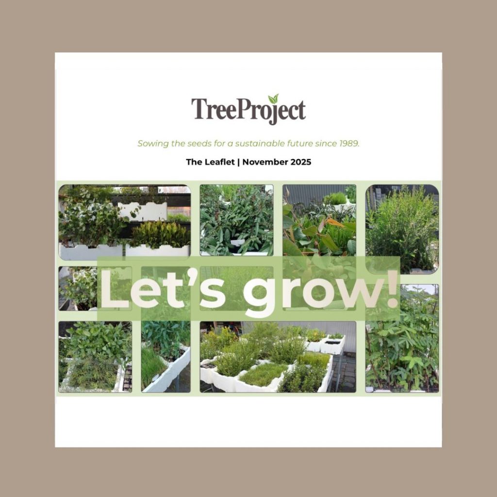 Leaflet November 2025