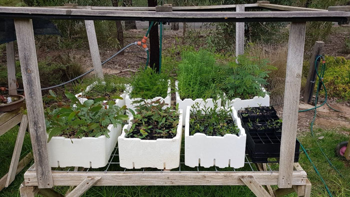 Sample Grower Setup Peter Hooke