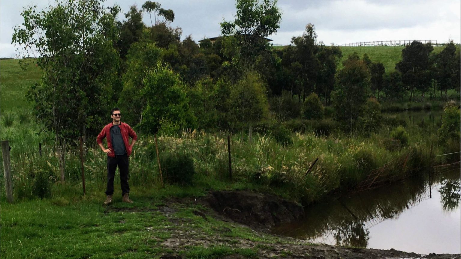 Bringing science to life for primary school kids | TreeProject
