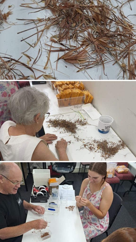 Seed Packing 