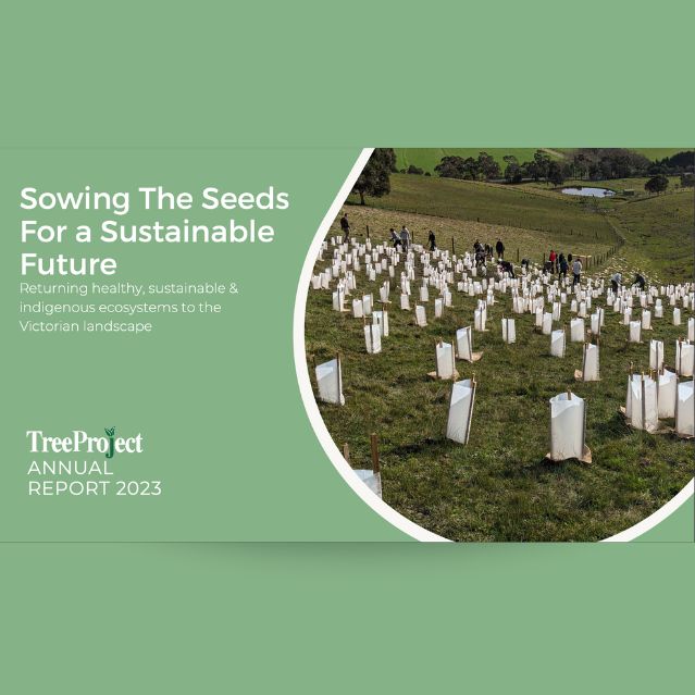 Treeproject Annual Report Cover 2023.. (639 X 639 Px)