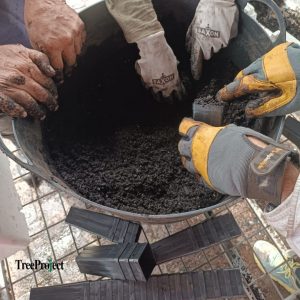 Volunteers Sowing Seeds