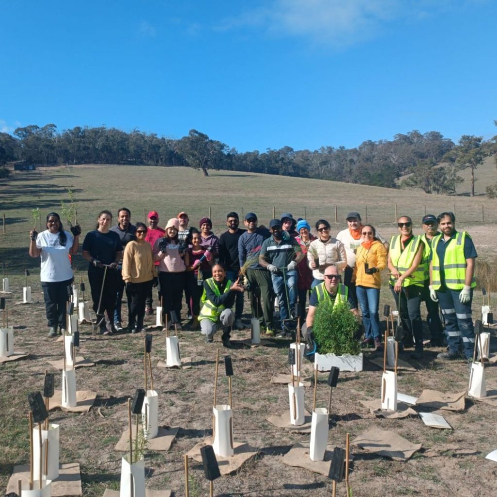 Corporate Tree Planting Group