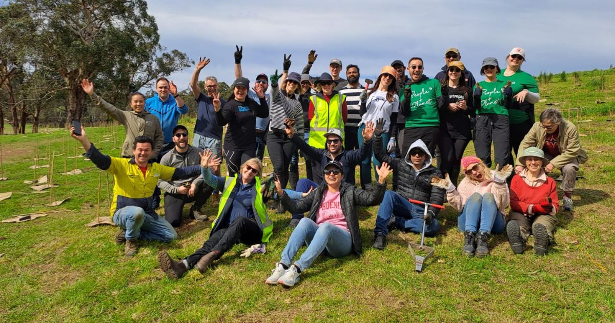 Corporate Tree Planting Group
