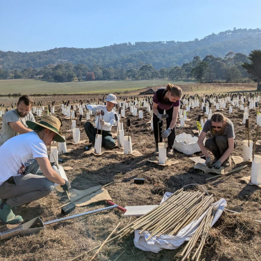 Tree Planting Day Near Melbourne