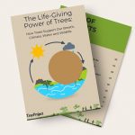 Blog Cover The Life Giving Power Of Trees (facebook Post)