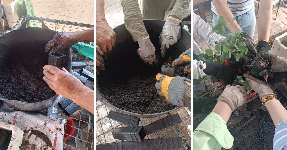 Planting seedlings in soil