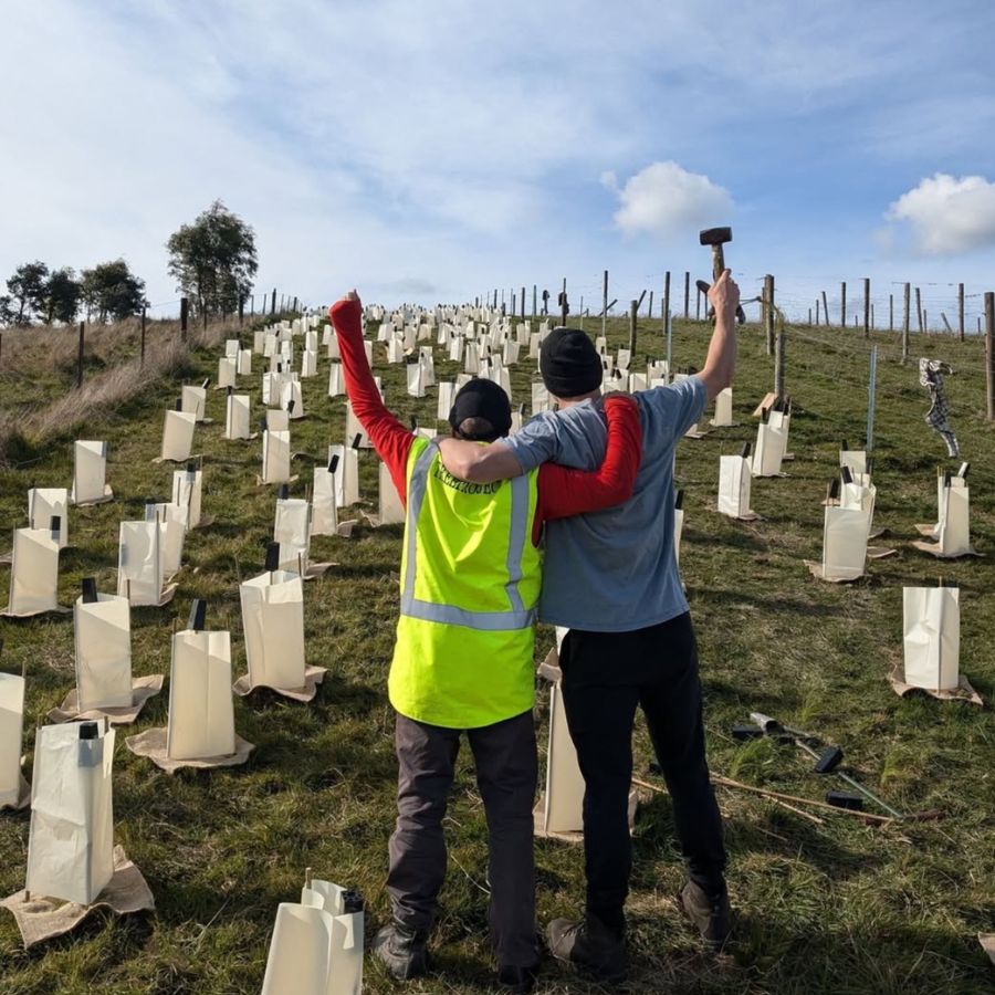 Planting Trees Together